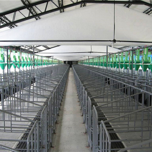 鑫尧养殖设备 畜牧猪用料线 育肥猪用料线 喂猪用料线