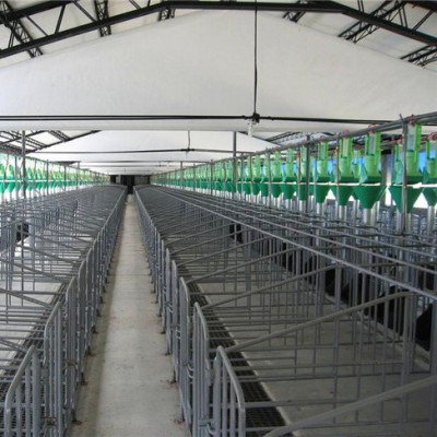 自动料线生产厂家 养猪自动化料线 喂猪料线 鑫尧自动料线