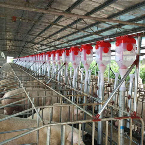 鑫尧自动料线 自动料线生产厂家 养猪自动化料线 喂猪料线