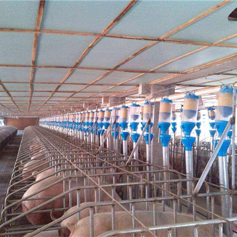 养猪自动化料线 喂猪料线 鑫尧自动料线 自动料线生产厂家