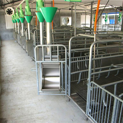 养猪自动化料线 自动料线生产厂家 喂猪料线 鑫尧自动料线