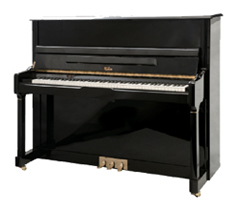 沃特海姆钢琴WF125