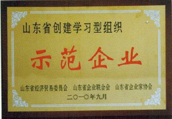 6.示范企业