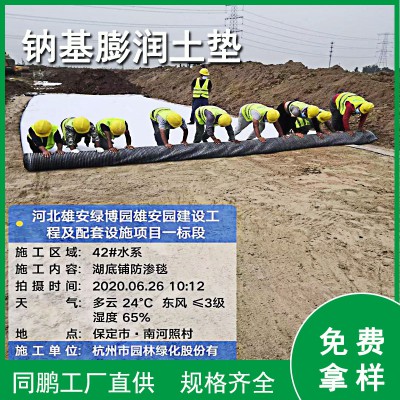 同鹏土工材料 GCL钠基膨润土防水毯，天然钠基膨润土防水毯