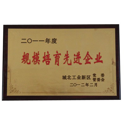 企业荣誉