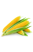 涂料网